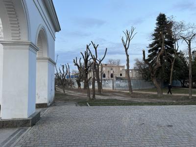 Прикрепленное изображение: photo_2024-03-03_19-30-32 (5).jpg